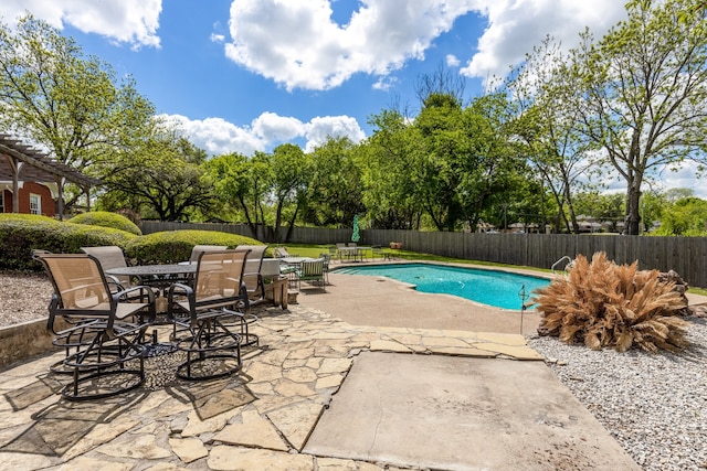 view of swimming pool with a patio area