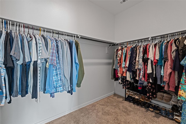 spacious closet featuring carpet flooring