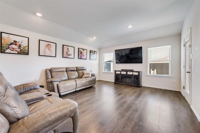 living room with dark hardwood / wood-style flooring