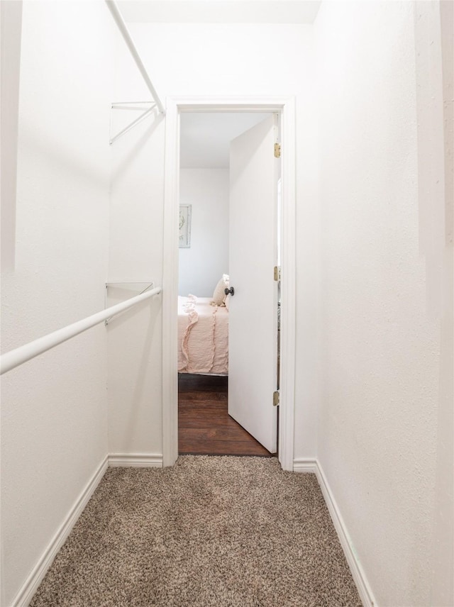 walk in closet featuring dark colored carpet