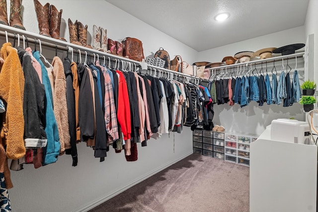 walk in closet with carpet flooring