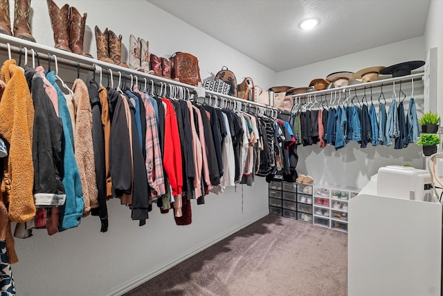 10012 Travis Dr, Providence Village, TX 76227 - walk in closet with carpet flooring
