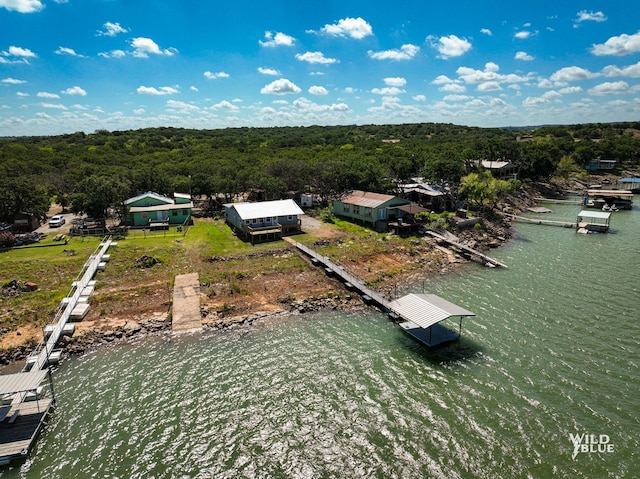 bird's eye view featuring a water view and a forest view