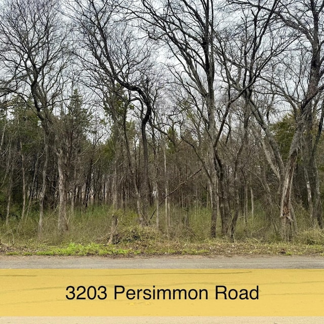 3203 Persimmon Rd, Dallas TX, 75241 land for sale