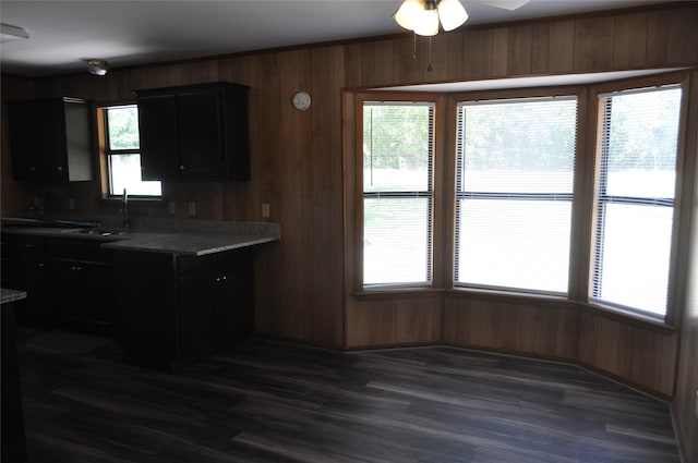 kitchen featuring sink, a wealth of natural light, and wooden walls