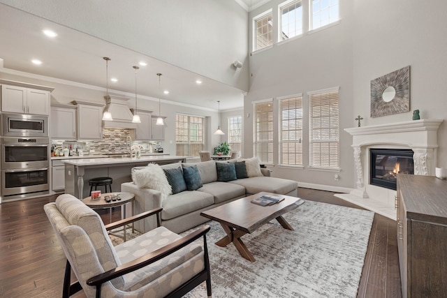 living room with ornamental molding, dark wood-style flooring, a healthy amount of sunlight, and a premium fireplace