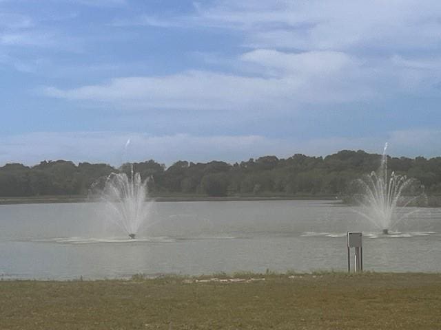 view of water feature