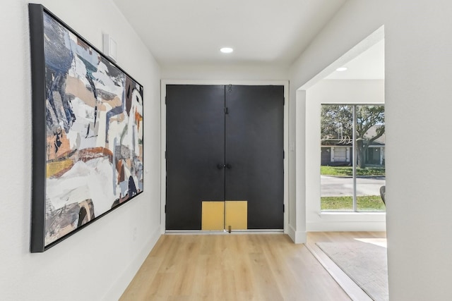 doorway with light hardwood / wood-style floors and a healthy amount of sunlight