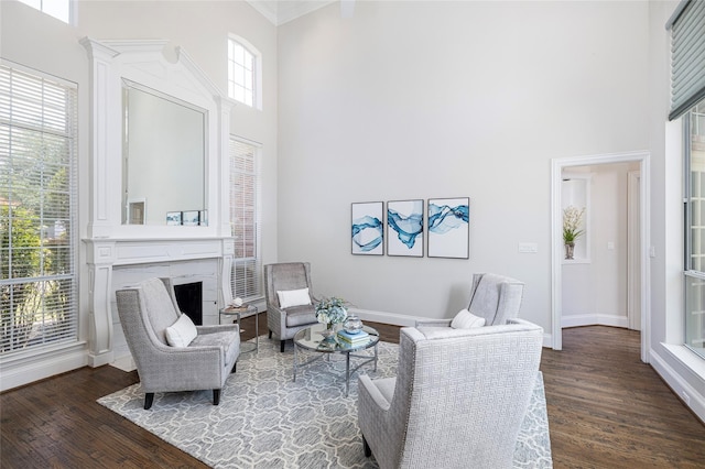 sitting room featuring a fireplace, wood finished floors, and a towering ceiling