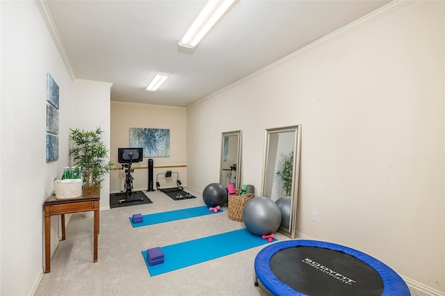 workout area featuring carpet and crown molding