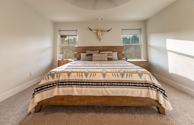 2040 Bluff Creek Dr, Strawn, TX 76475 - carpeted bedroom with visible vents and baseboards