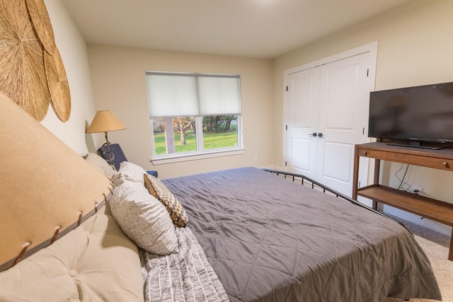 2040 Bluff Creek Dr, Strawn, TX 76475 - bedroom with carpet and a closet
