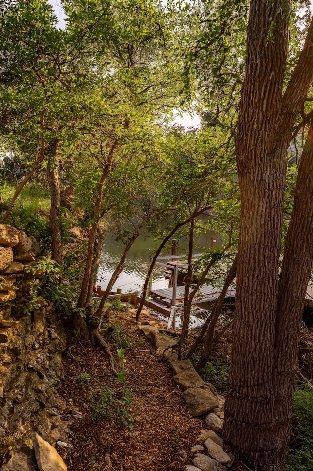 2040 Bluff Creek Dr, Strawn, TX 76475 - water view