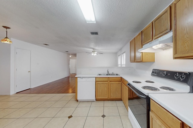 kitchen with electric range oven, dishwasher, decorative light fixtures, under cabinet range hood, and a sink