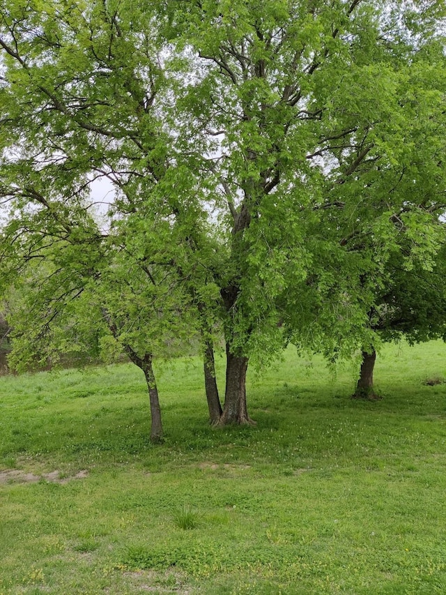 view of landscape