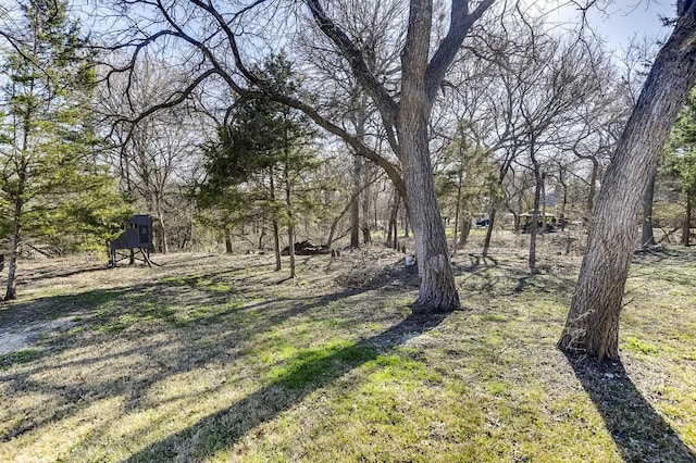 view of yard with a shed