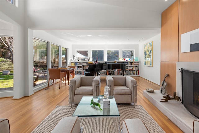 living room featuring light hardwood / wood-style flooring