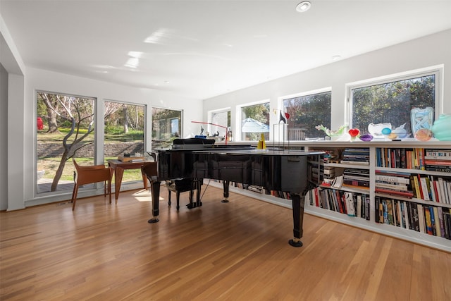 living area with light hardwood / wood-style flooring and plenty of natural light