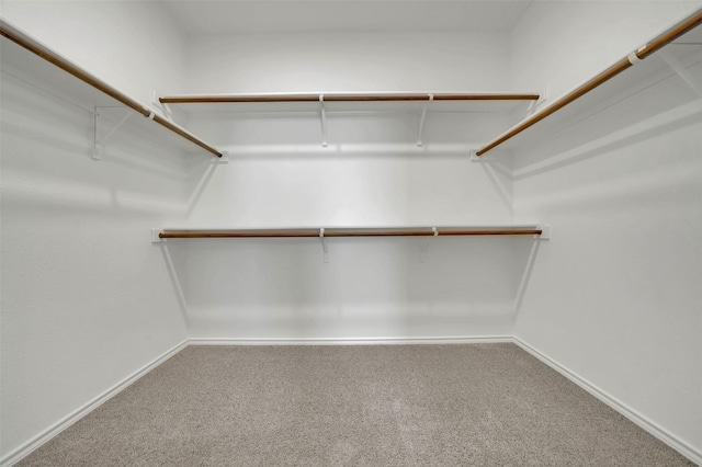 spacious closet with carpet