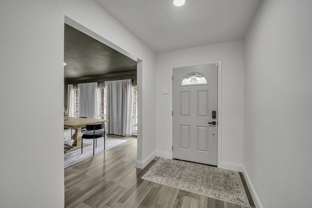 foyer entrance with hardwood / wood-style floors