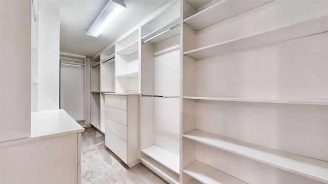 walk in closet featuring light colored carpet