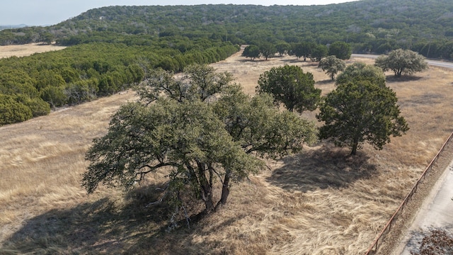 aerial view with a rural view