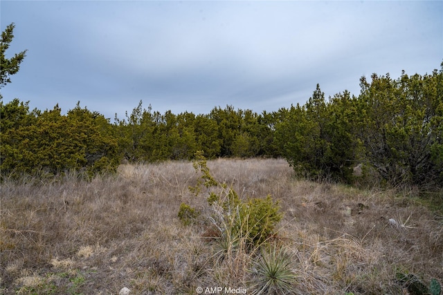 Listing photo 3 for 901 County Road 656, Ovalo TX 79541