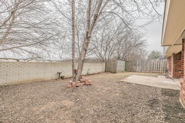 view of yard featuring a patio