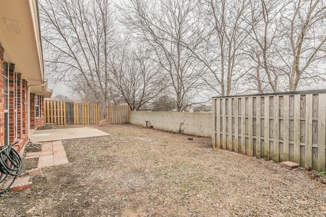 view of yard featuring a patio