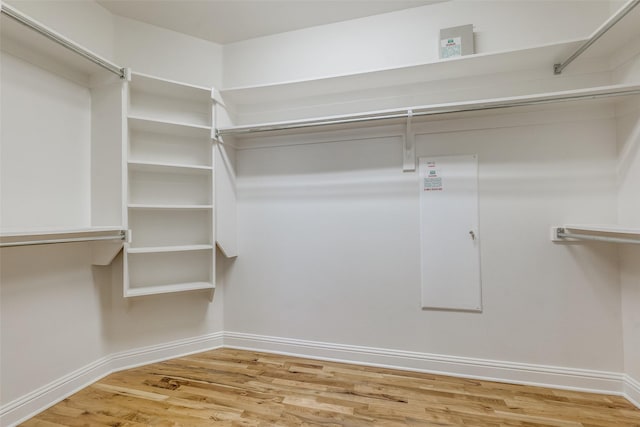 walk in closet with hardwood / wood-style flooring