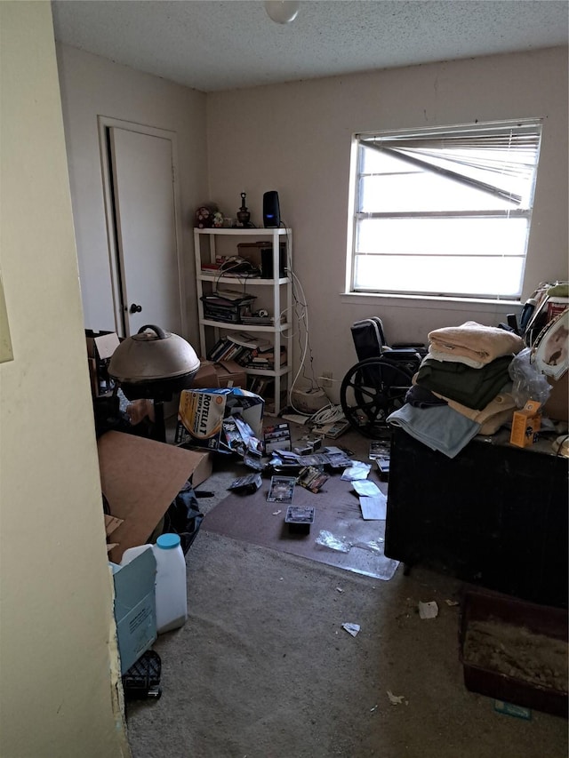 miscellaneous room with a textured ceiling