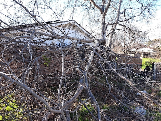 view of local wilderness