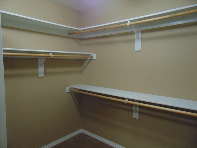 view of walk in closet