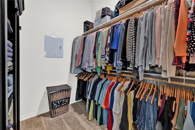 walk in closet with carpet flooring