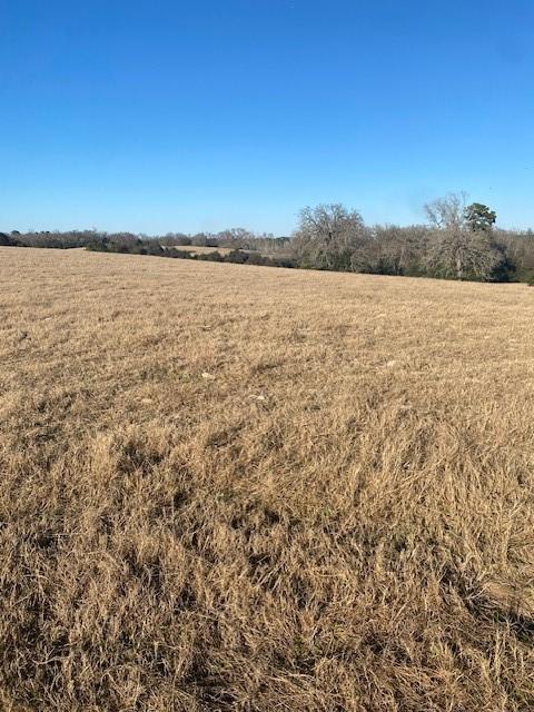 0 County Road 275, Buffalo, TX 75831