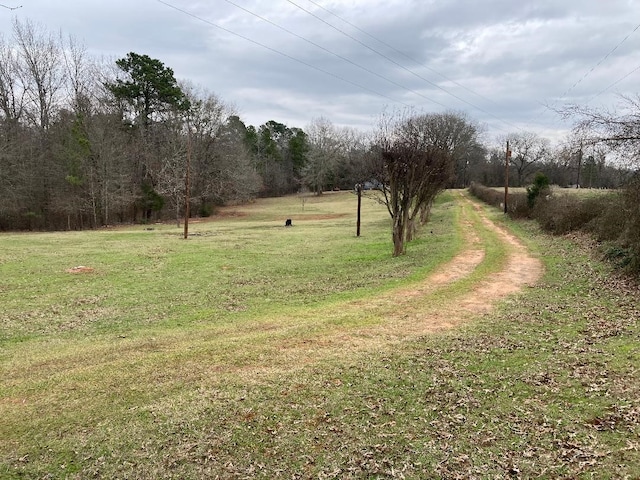 view of yard with a rural view