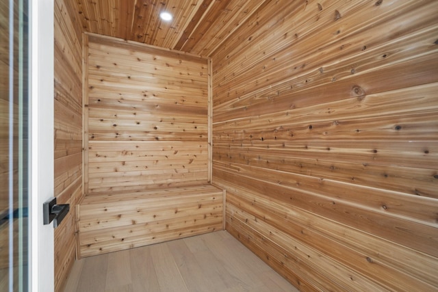 view of sauna featuring wood-type flooring