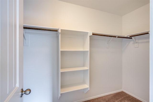 walk in closet featuring carpet