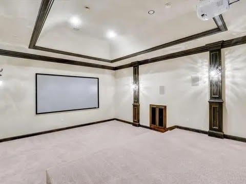 cinema with light carpet, a raised ceiling, and crown molding