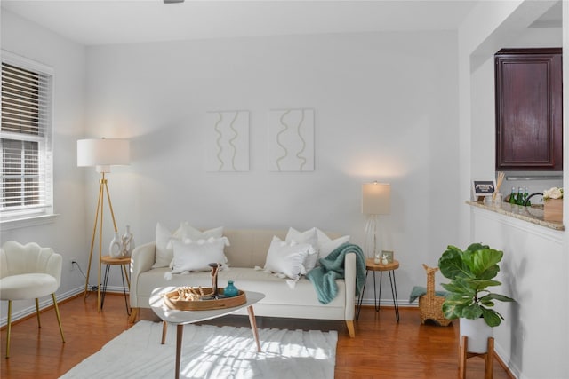 living room with dark hardwood / wood-style floors