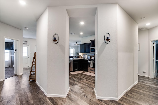 hall with sink and dark wood-type flooring