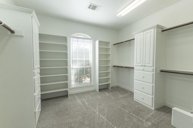 walk in closet with light carpet