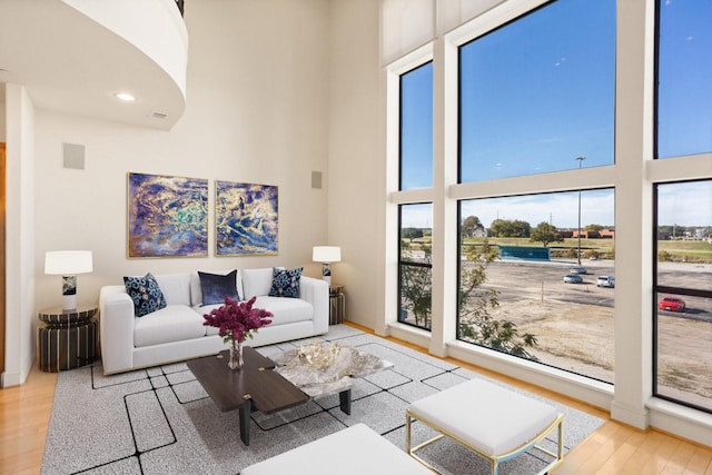 living room with a high ceiling and light hardwood / wood-style floors