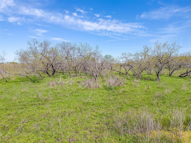 Listing photo 2 for TBD Prachyl Road, Ennis TX 75119