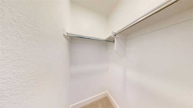 spacious closet featuring carpet floors