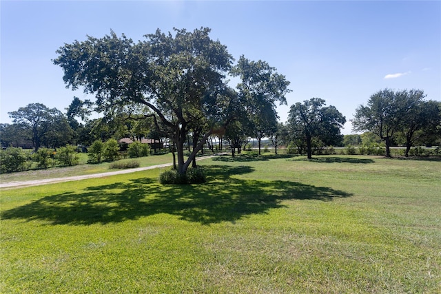 4201 E Bankhead Hwy, Hudson Oaks, TX 76087 - view of grassy yard