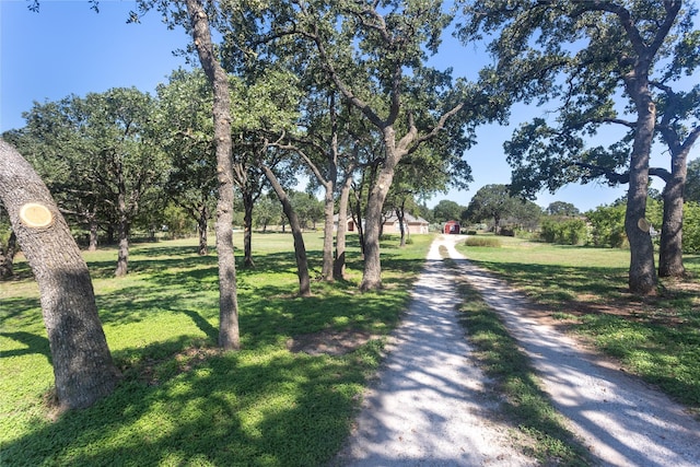 4201 E Bankhead Hwy, Hudson Oaks, TX 76087 - view of dirt / gravel driveway