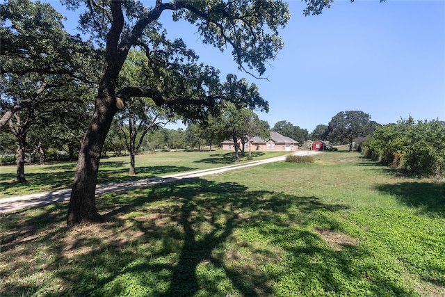 4201 E Bankhead Hwy, Hudson Oaks, TX 76087 - view of green lawn
