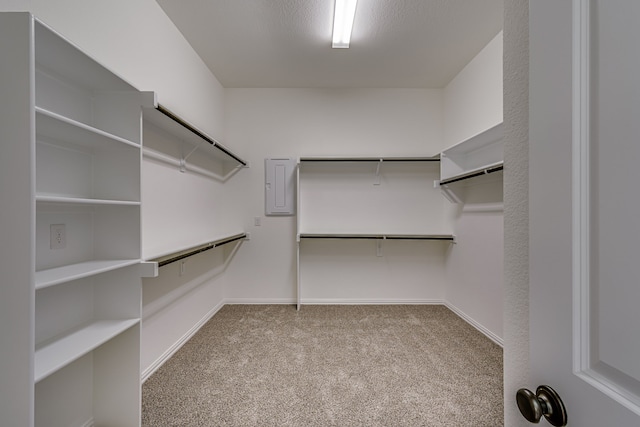 spacious closet with light carpet and electric panel