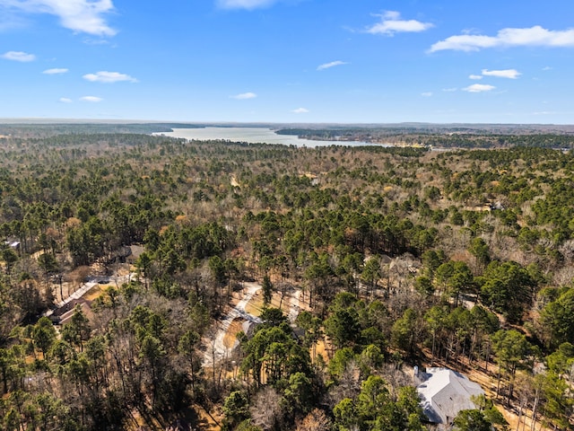 birds eye view of property featuring a water view and a forest view